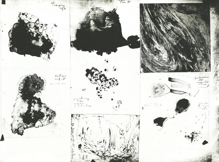 Attempt B | litography | 100x70 cm